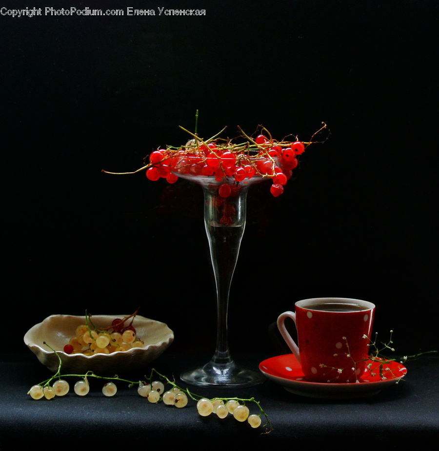 Glass, Goblet, Blossom, Flora, Flower, Geranium, Plant