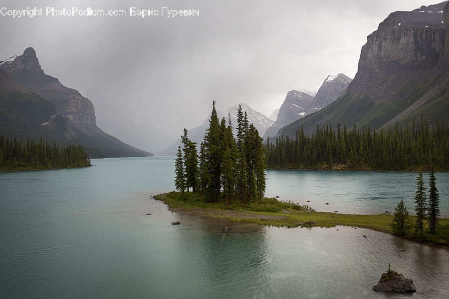 Arctic, Glacier, Ice, Mountain, Outdoors, Snow, Conifer