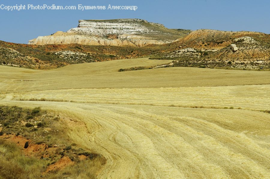 Field, Grass, Grassland, Land, Outdoors, Dirt Road, Gravel