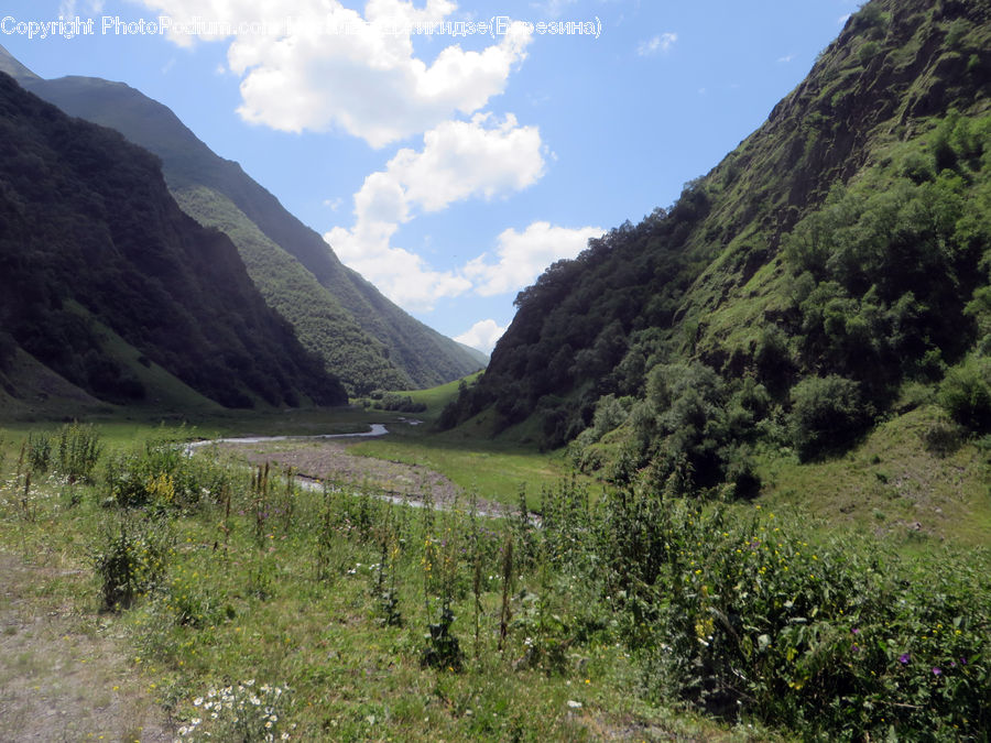 Outdoors, Wilderness, Forest, Jungle, Rainforest, Vegetation, Mountain