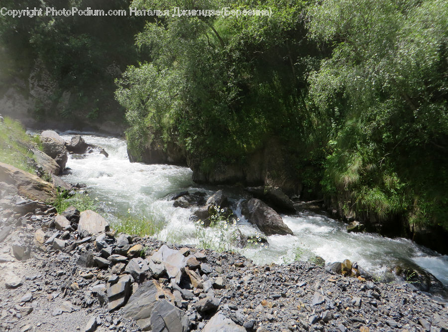 Creek, Outdoors, River, Water, Rock, Forest, Jungle