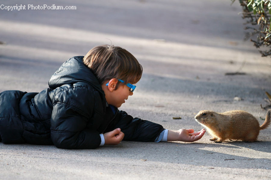 People, Person, Human, Animal, Mammal, Rodent, Crawling