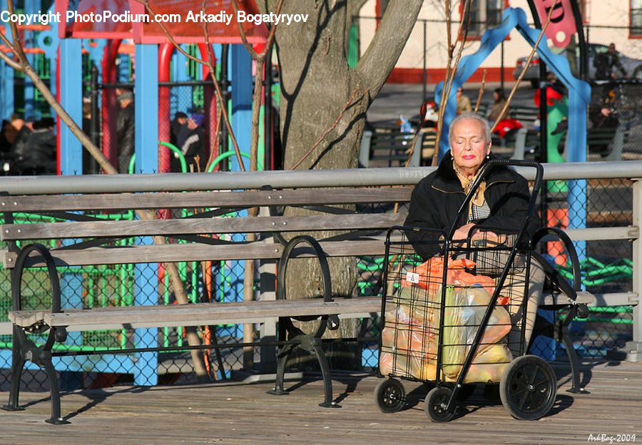 People, Person, Human, Stroller, Musical Instrument, Musician, Performer