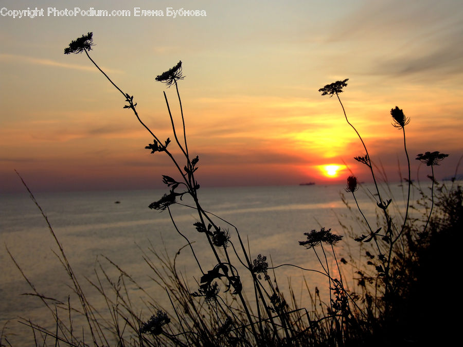 Dawn, Dusk, Red Sky, Sky, Sunrise, Sunset, Outdoors