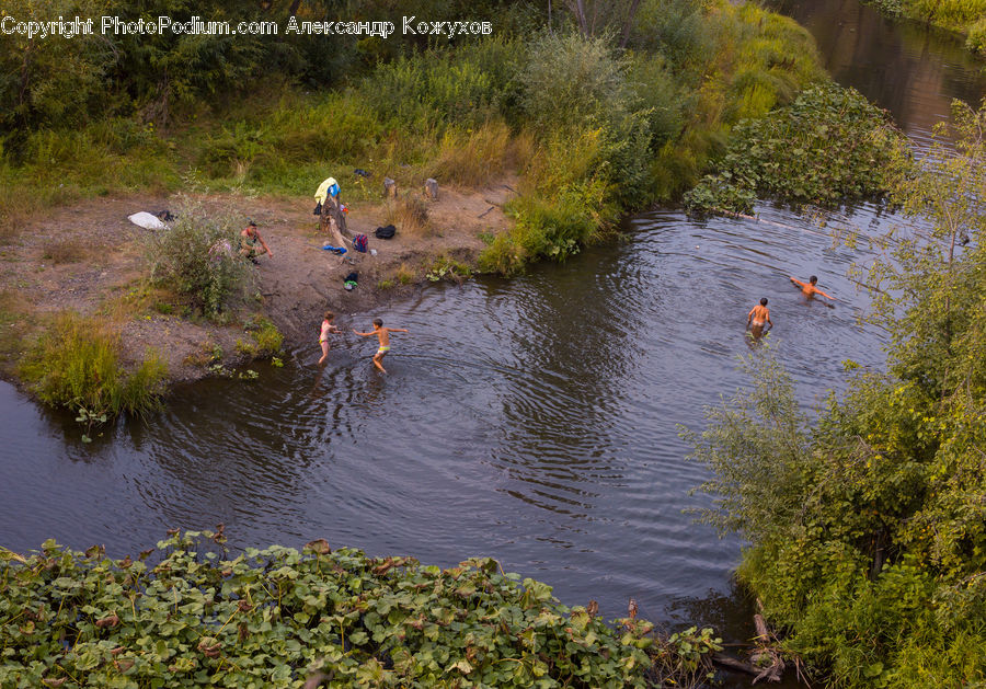 Outdoors, Pond, Water, Plant, Vegetation, Land, Marsh