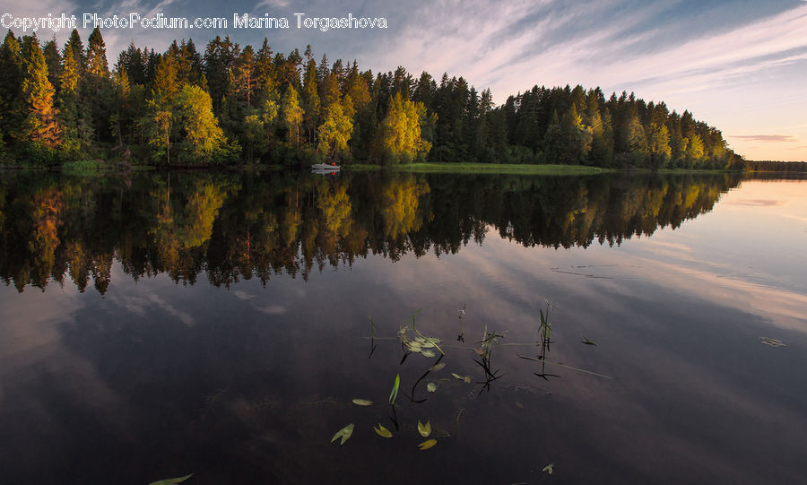 Lake, Outdoors, Water, Dawn, Dusk, Sky, Sunrise