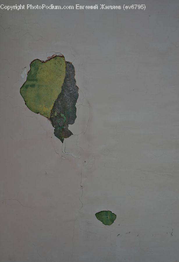 Flower, Lily, Plant, Pond Lily, Hole, Atlas, Map