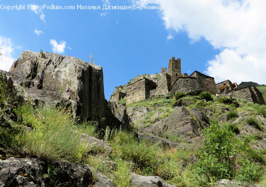 Ruins, Architecture, Castle, Fort, Bush, Plant, Vegetation