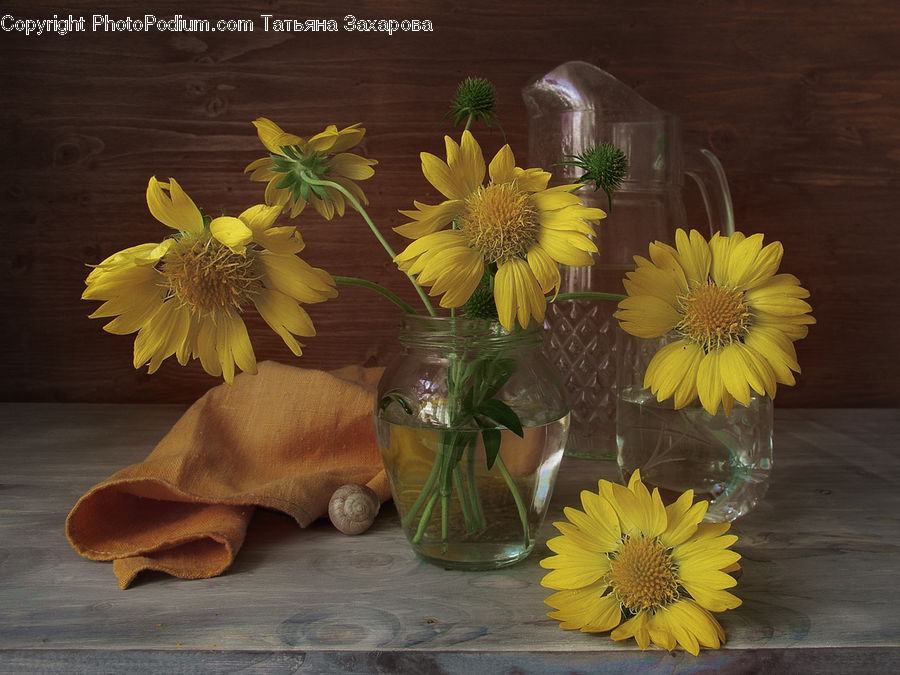 Plant, Potted Plant, Flower Arrangement, Ikebana, Vase, Flower, Flower Bouquet