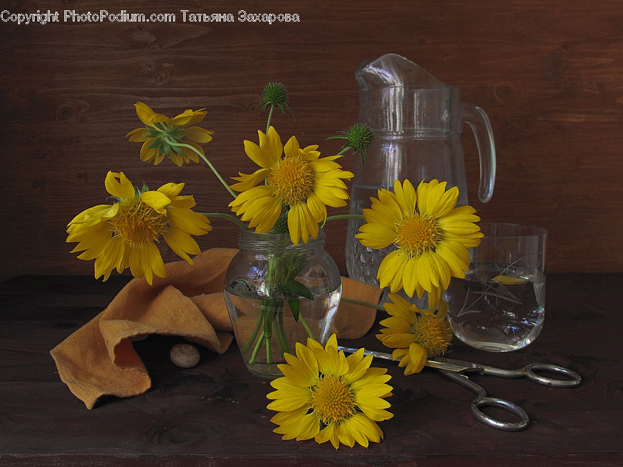 Plant, Potted Plant, Flower Arrangement, Ikebana, Vase, Floral Design, Flower