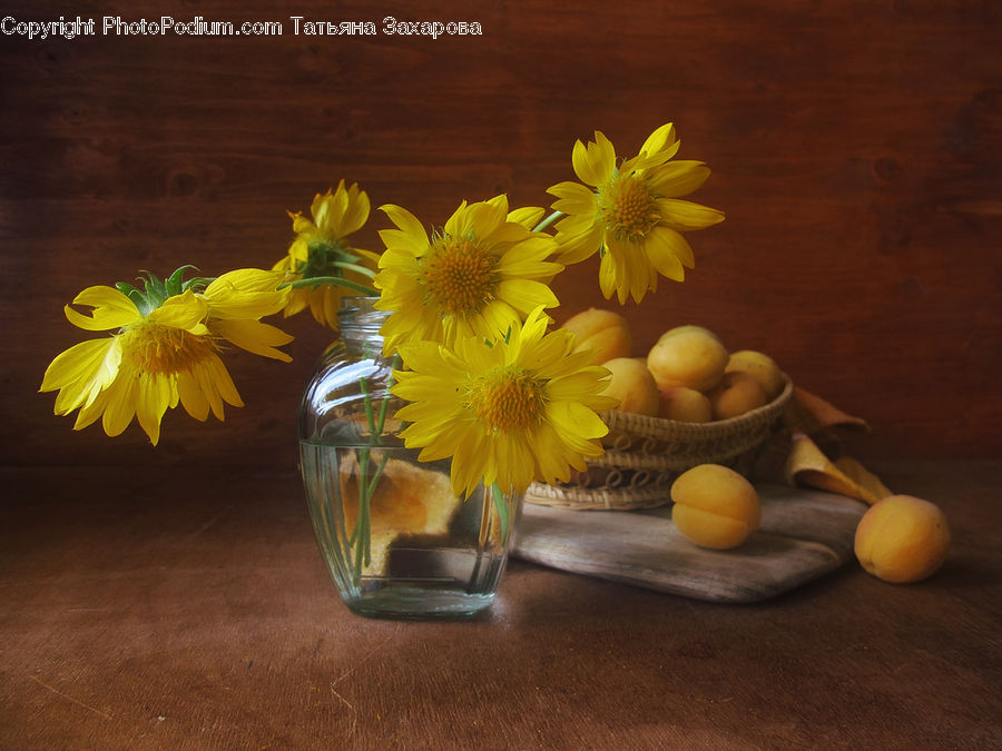 Jar, Porcelain, Vase, Daisies, Daisy, Flower, Plant