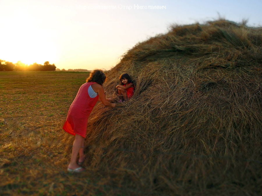 Countryside, Hay, Straw, Field, Grass, Grassland, Plant