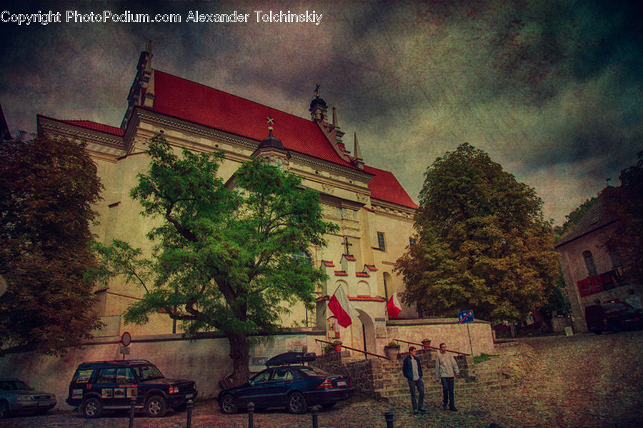 Automobile, Car, Vehicle, Offroad, Jeep, Plant, Tree