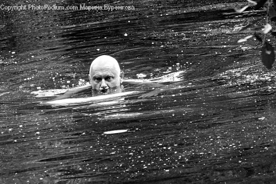 Sport, Swimming, Water, Pool, Head, Portrait, Person