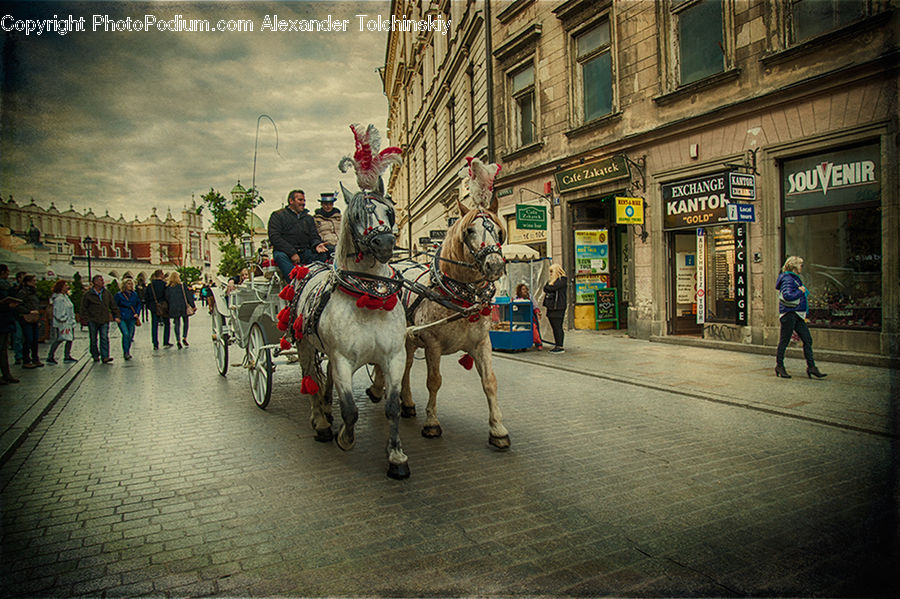 Carriage, Horse Cart, Vehicle, Leisure Activities, Walking, Animal, Horse