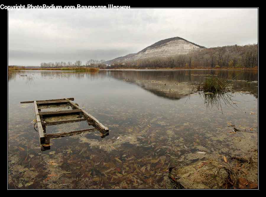 Land, Marsh, Outdoors, Swamp, Water, Pond, Bench