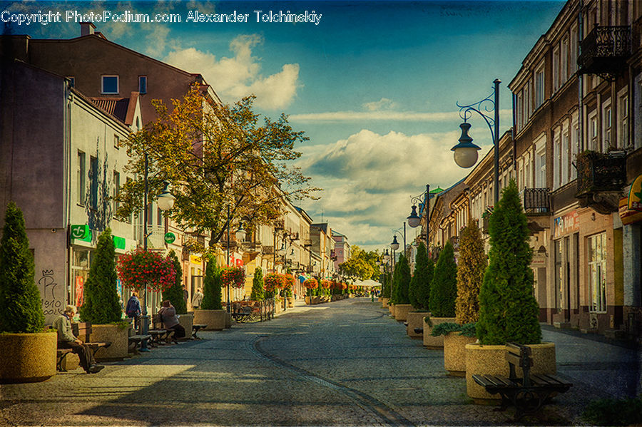 Road, Street, Town, Fence, Hedge, Plant, Bench