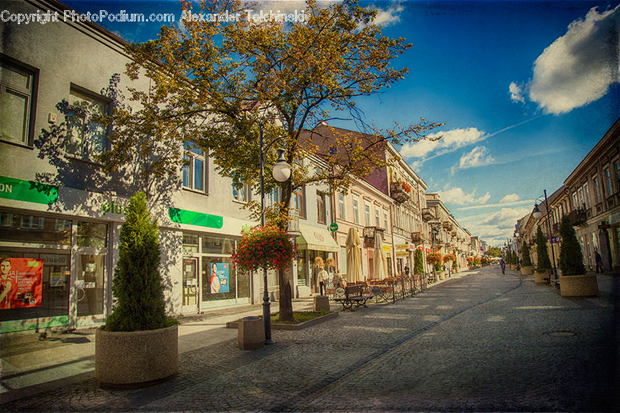 Architecture, Column, Parthenon, Temple, Worship, Road, Street