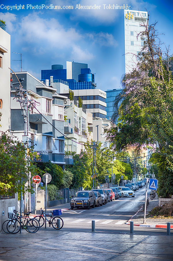 Bicycle, Bike, Vehicle, City, Downtown, Metropolis, Urban