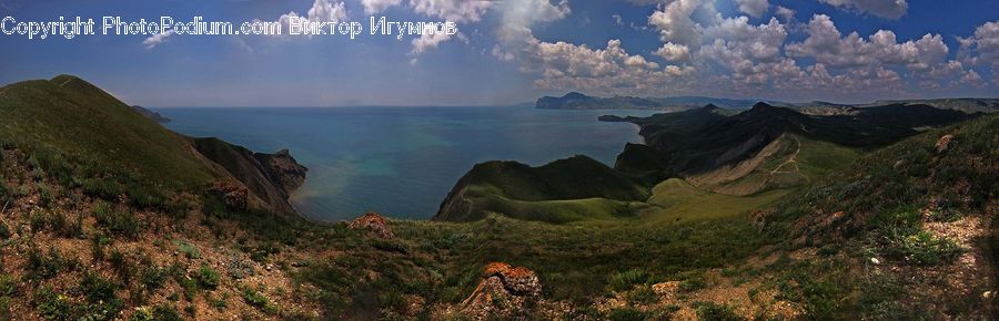 Bush, Plant, Vegetation, Nature, Outdoors, Mountain, Mountain Range