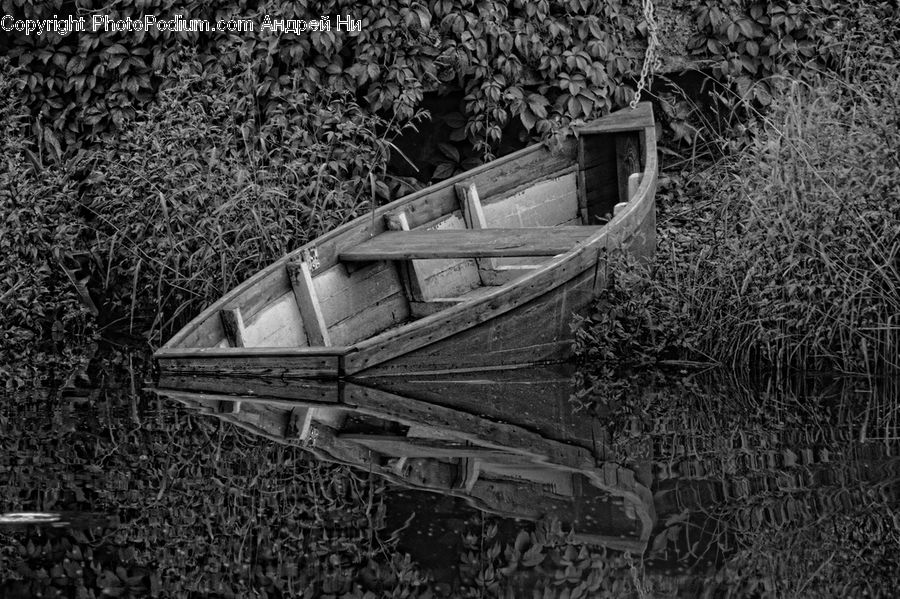 Boat, Rowboat, Vessel, Asphalt, Tarmac, Bush, Plant
