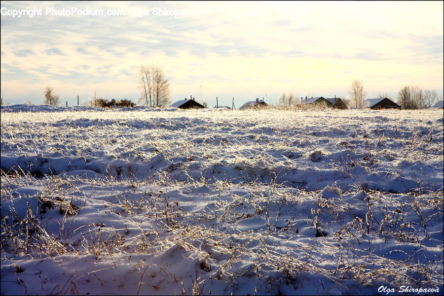 Frost, Ice, Outdoors, Snow, Field, Grass, Grassland