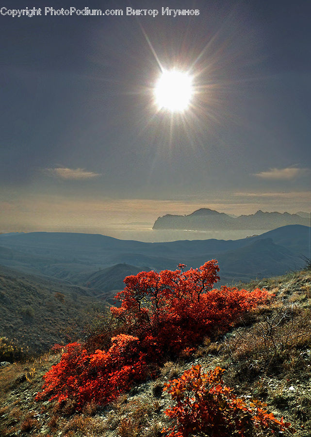 Dawn, Dusk, Sky, Sunrise, Sunset, Landscape, Nature