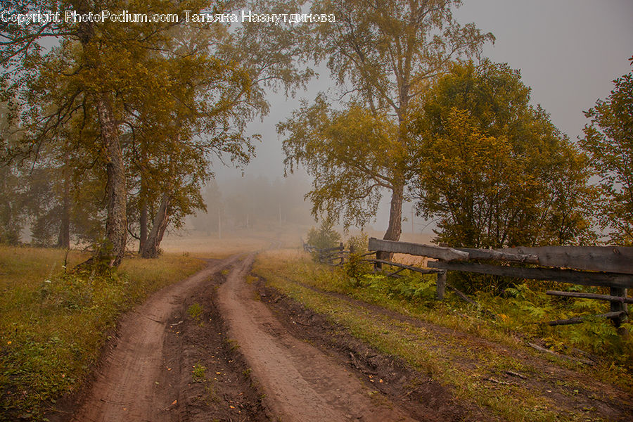 Dirt Road, Gravel, Road, Landscape, Nature, Scenery
