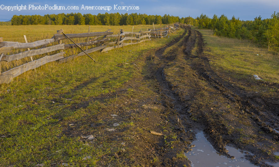 Dirt Road, Gravel, Road, Field, Grass, Grassland, Land