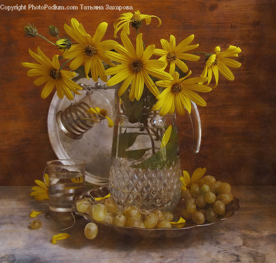 Beverage, Drink, Lemonade, Asteraceae, Blossom, Flora, Flower