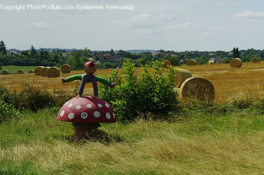 Countryside, Hay, Straw, Toy, Herbal, Herbs, Plant