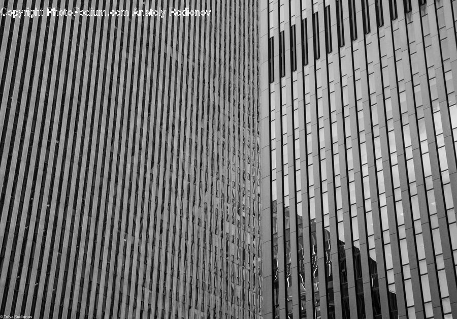 Building, City, High Rise, Downtown, Urban
