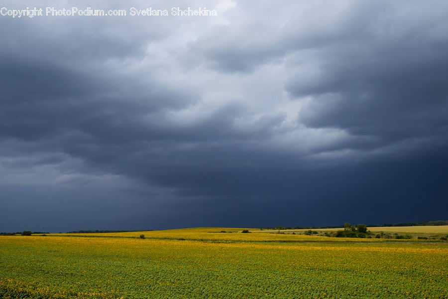 Field, Grass, Grassland, Land, Outdoors, Cloud, Cumulus
