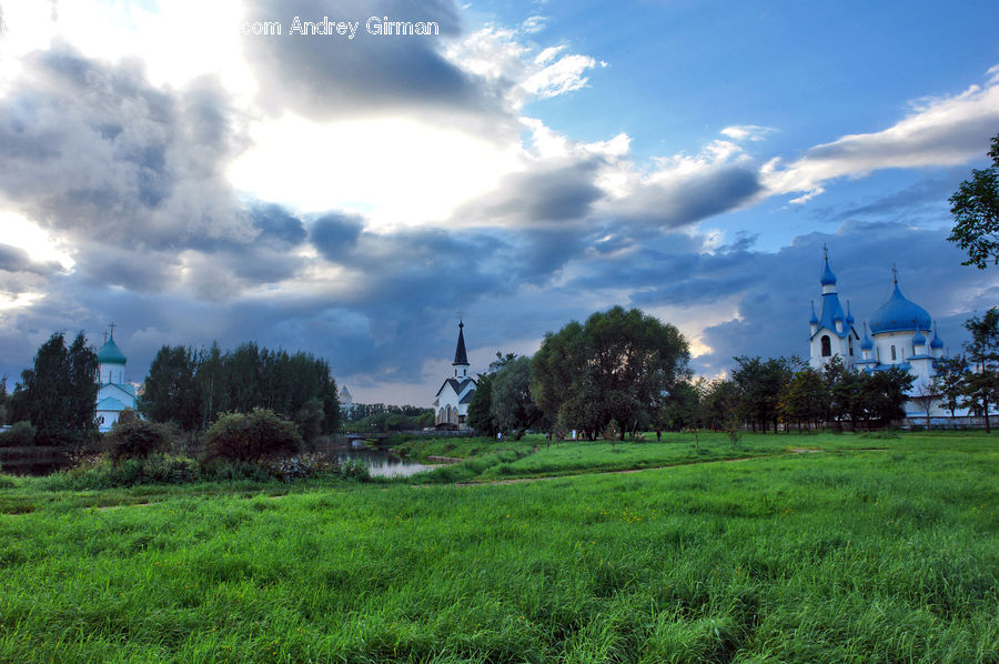 Field, Grass, Grassland, Land, Outdoors, Landscape, Nature