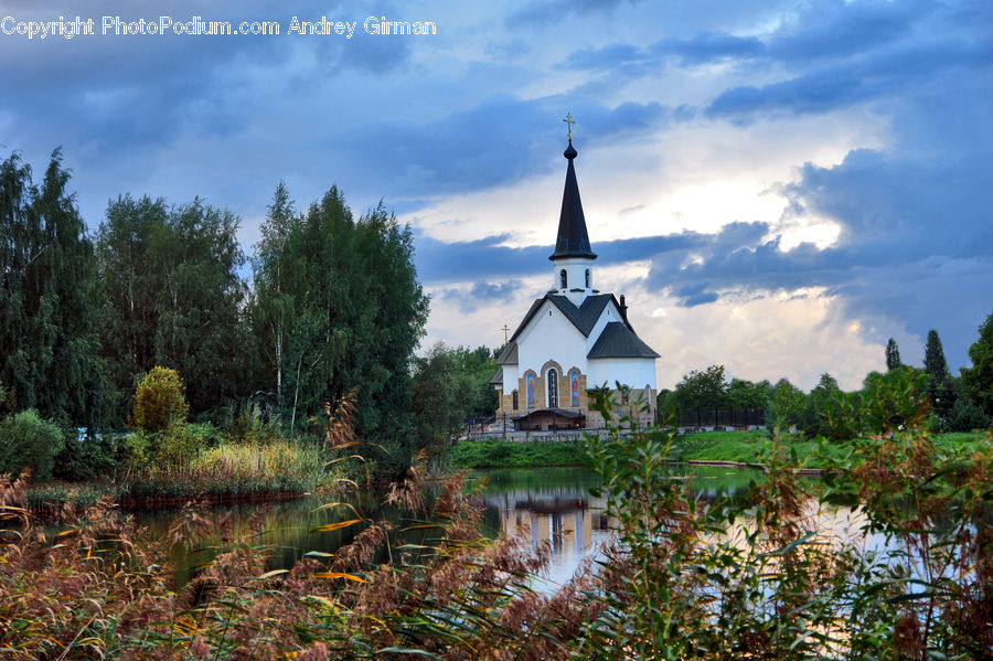 Architecture, Church, Worship, Bell Tower, Clock Tower, Tower, Forest