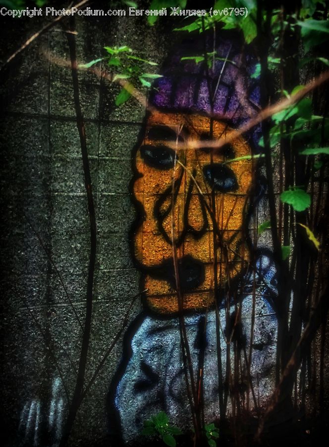Tiki, Totem, Algae, Forest, Jungle, Rainforest, Vegetation