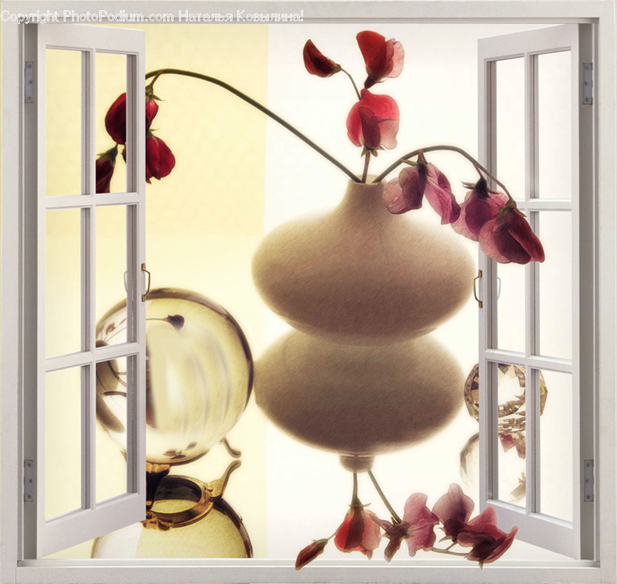 Blossom, Flora, Flower, Petal, Plant, Orchid, Globe