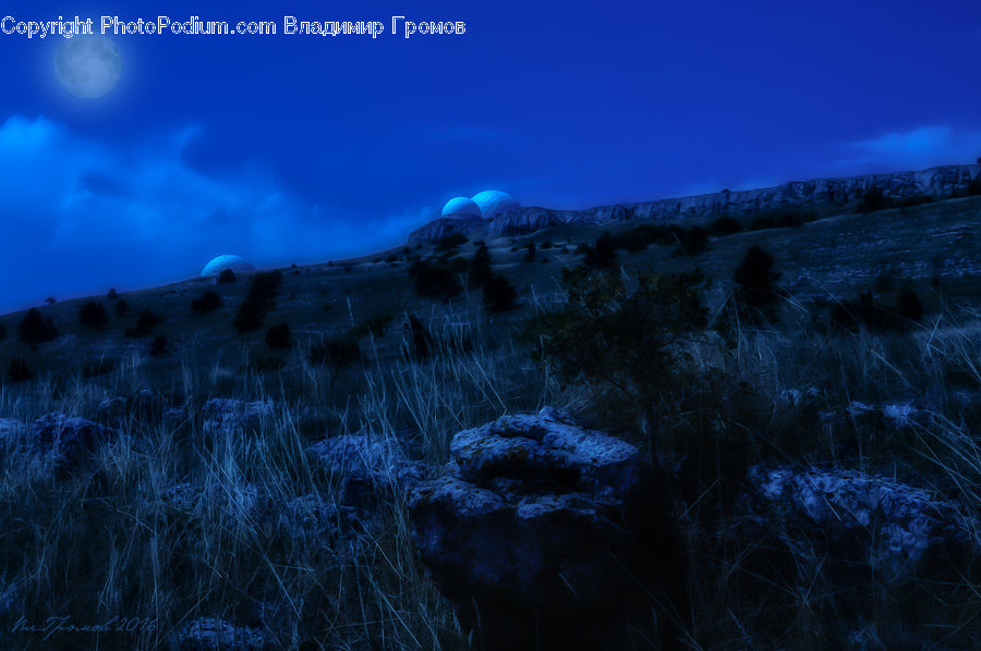 Field, Grass, Grassland, Plant, Land, Outdoors, Dawn