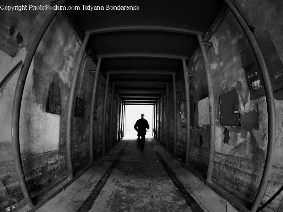 Corridor, Alley, Alleyway, Road, Street, Crypt, Column