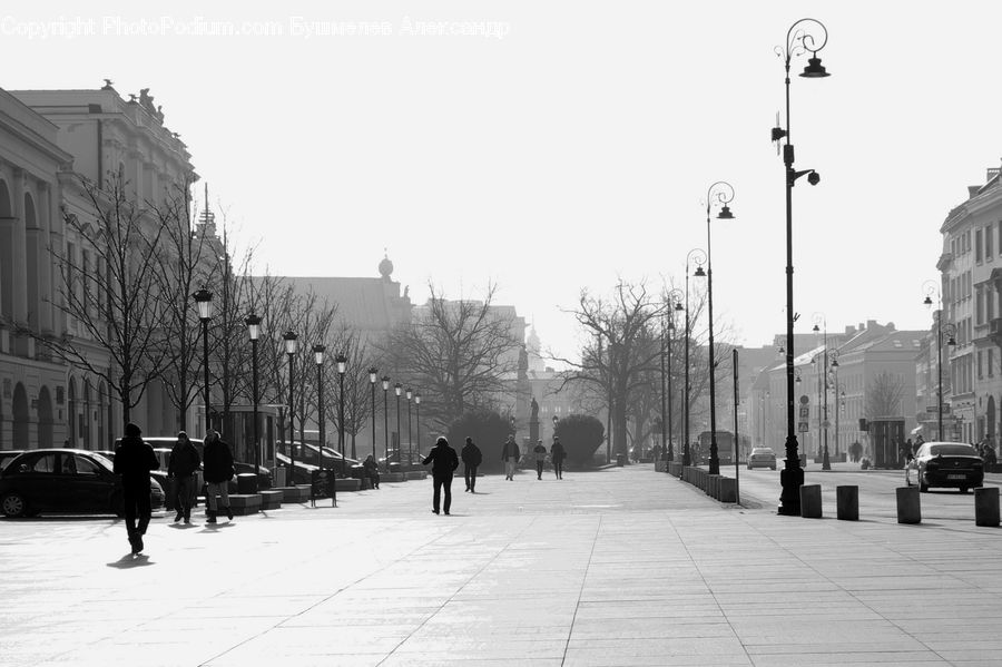 Boardwalk, Path, Pavement, Sidewalk, Walkway, Pedestrian, Person