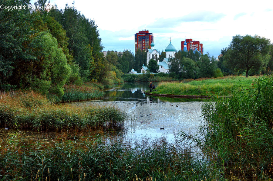 Outdoors, Pond, Water, Field, Grass, Grassland, Plant