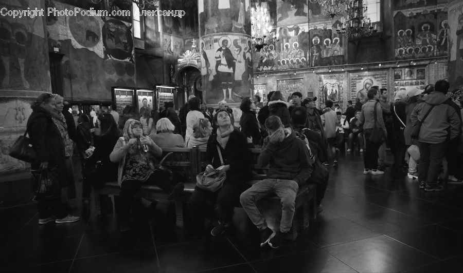 Human, People, Person, Crowd, Subway, Train, Train Station