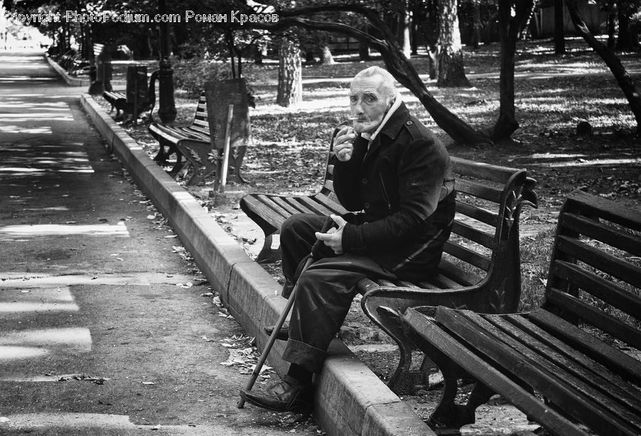 Bench, People, Person, Human, Path, Trail, City