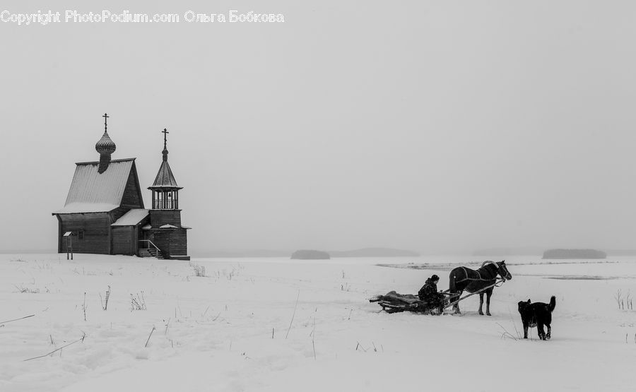 Animal, Horse, Mammal, Architecture, Church, Worship, Arctic