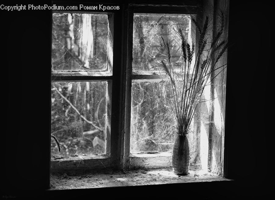 Window