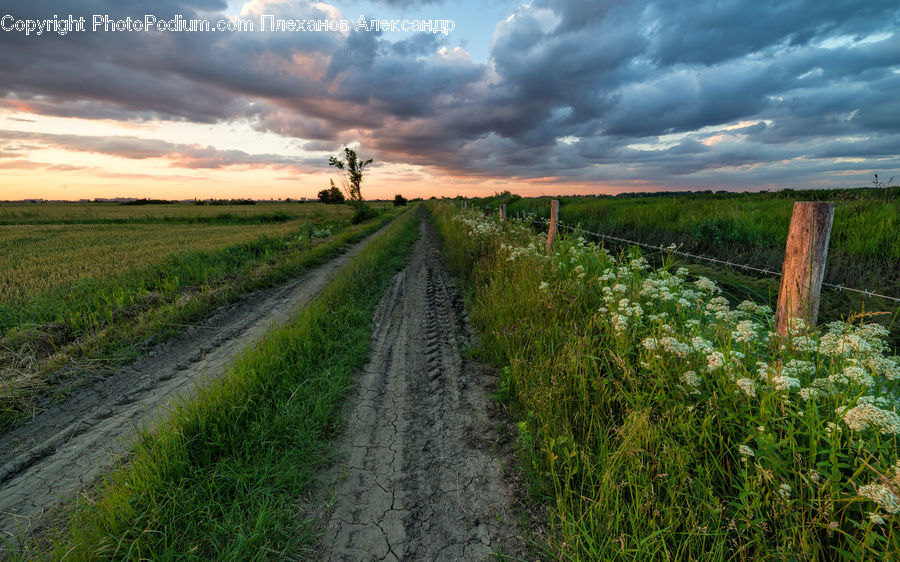 Dirt Road, Gravel, Road, Landscape, Nature, Scenery