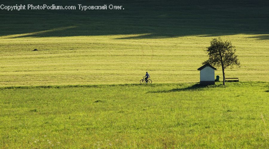 Field, Grass, Grassland, Land, Outdoors, Countryside, Plant
