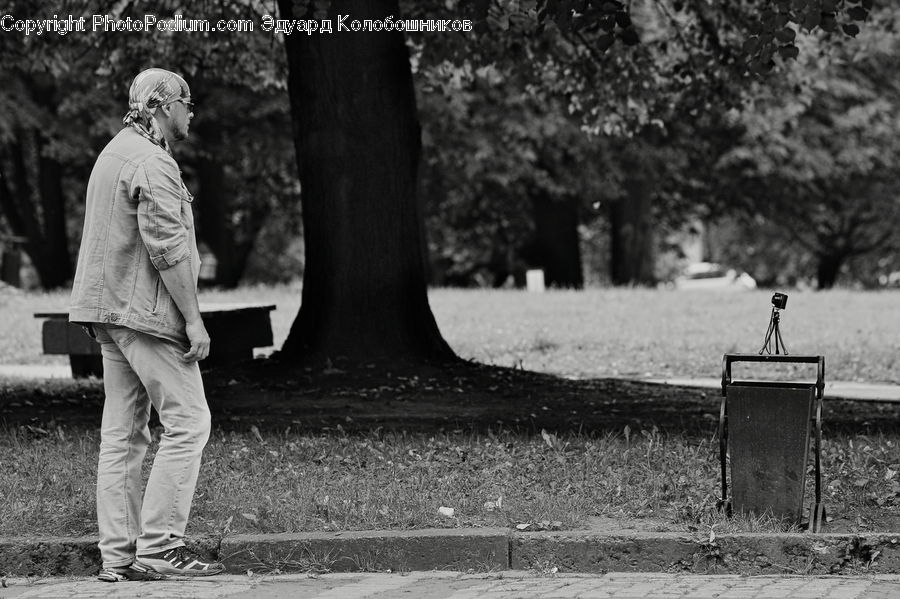 Human, People, Person, Bench, Chair, Furniture, Park