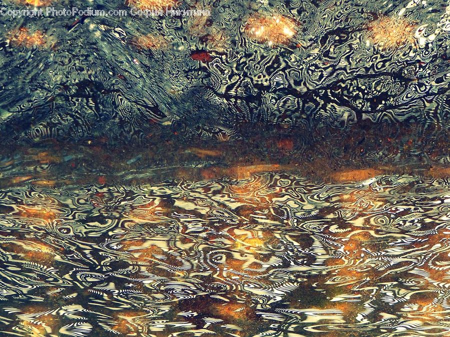 Carp, Fish, Sea Life, Art, Modern Art