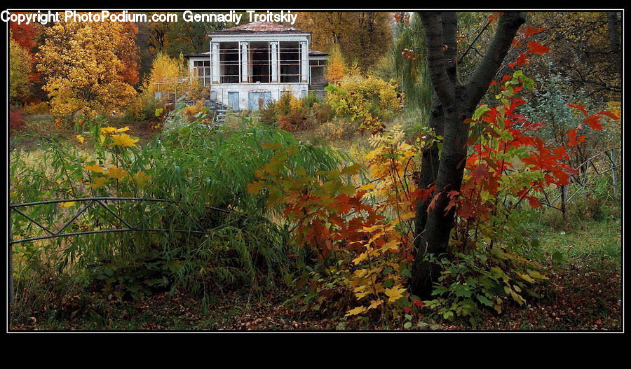 Building, Cottage, Housing, Deck, Porch, Cabin, Hut